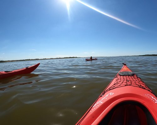 Kajaktur på Vilsted Sø